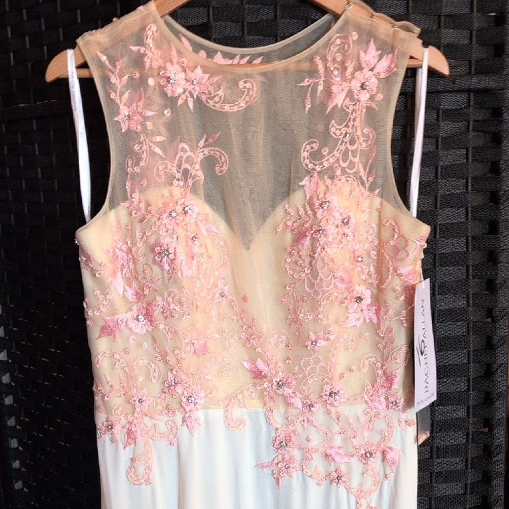 Rachel Allan Pink Appliqué Illusion Bodice Maxi Dress - Picture 3 of 11